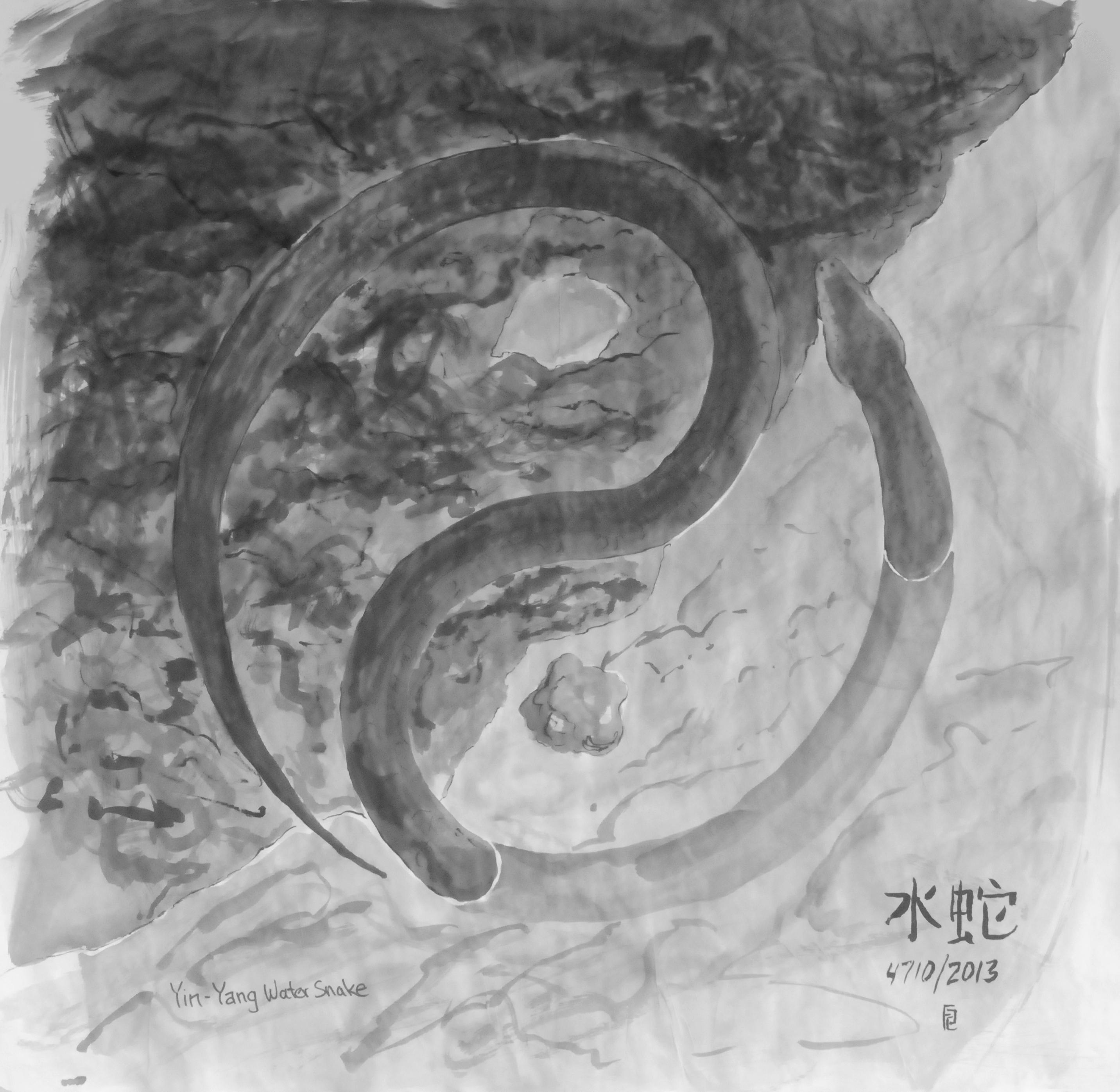 image of stylized yin yang symbol formed by a snake