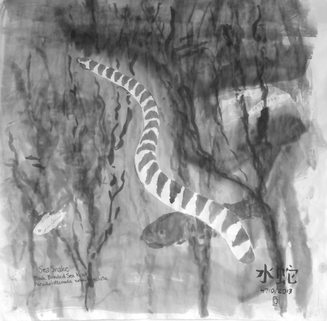 image of a sea snake painting