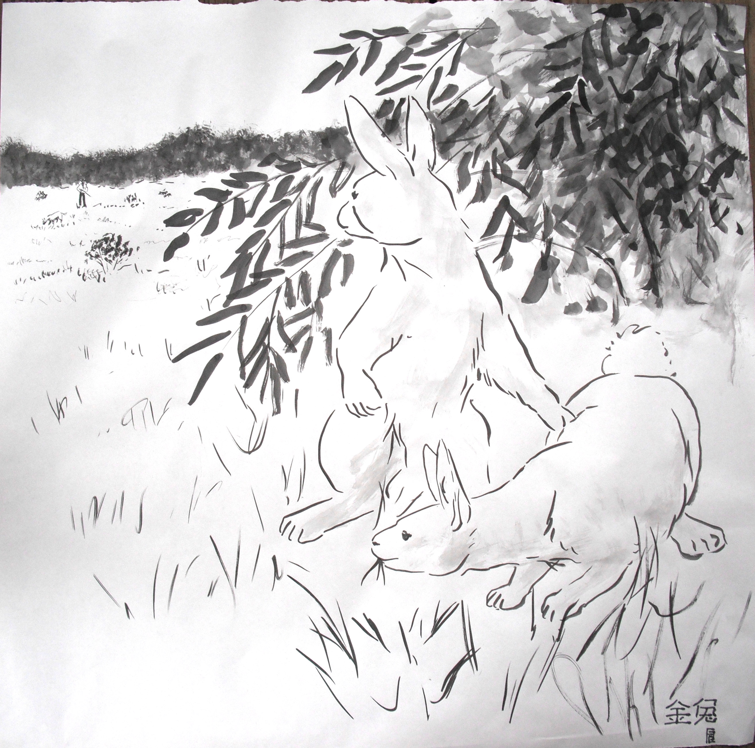 image of rabbits being hunted